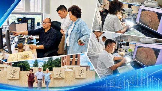Yunnan University тәжірибесі