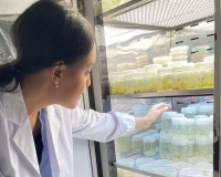 Жаңа белестер ДӘУІРІ